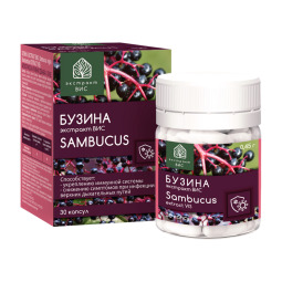 Бузина экстракт Вис капс. 0,45г N30
