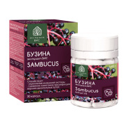 Бузина экстракт Вис капс. 0,45г N30