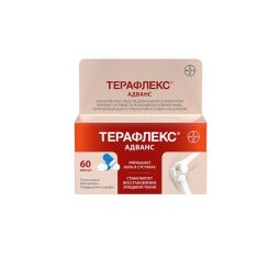 Терафлекс капс.  №60.